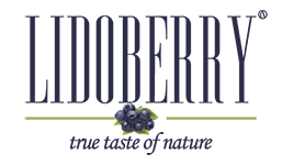 lidoberry-logo-150